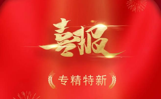 南京欧洲杯官方网站（中国）责任有限公司科技（滁州）有限公司入选国家级专精特新“小巨人”企业